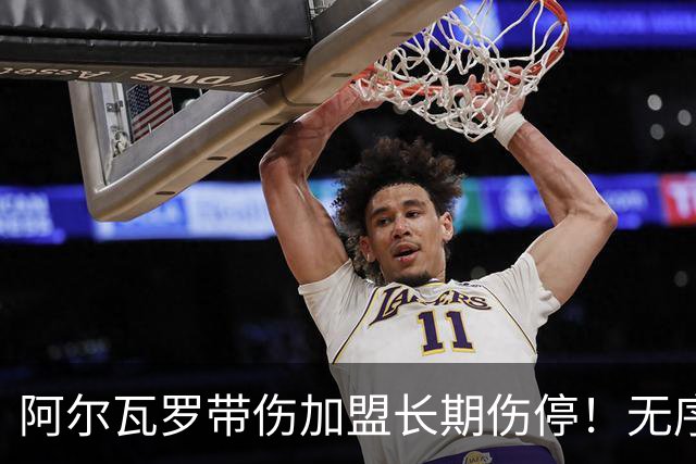 阿尔瓦罗带伤加盟长期伤停！无序引援反复试错，持续透支泰山家底
