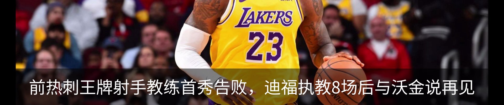 最新动态