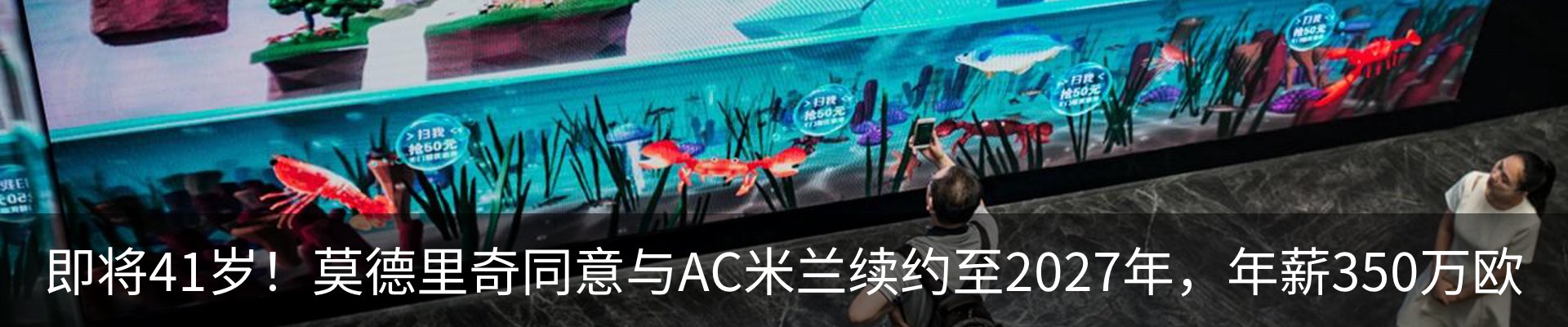 最新动态