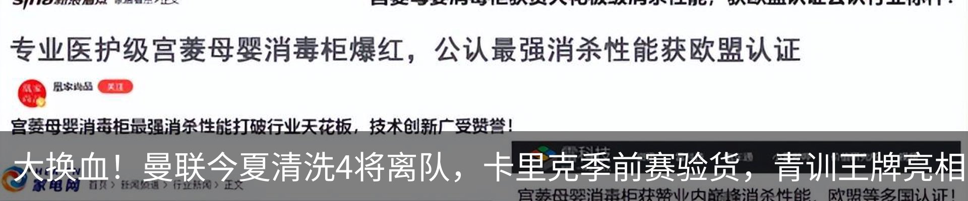 最新动态
