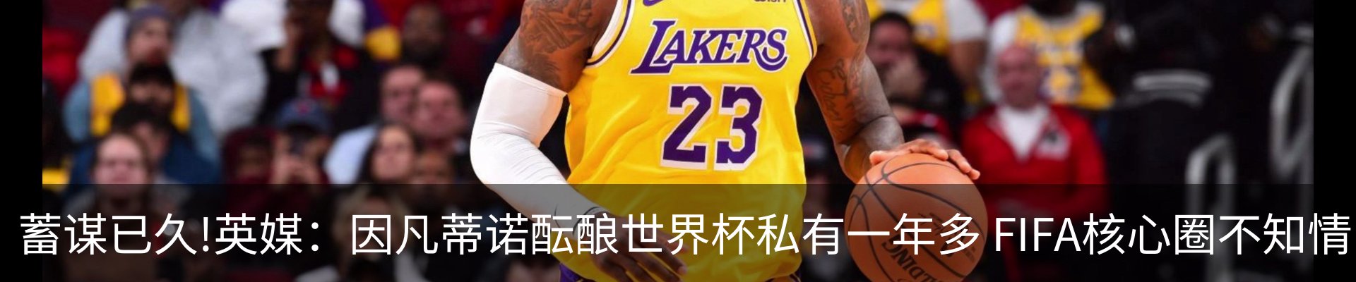 最新动态