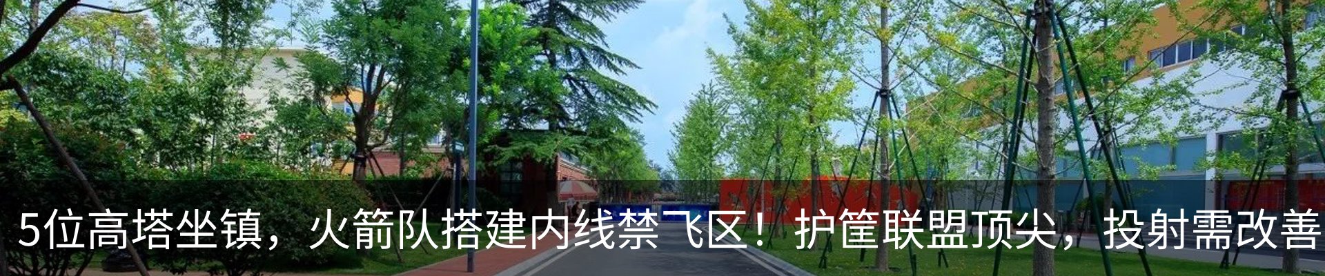 最新动态